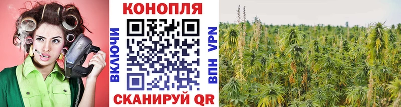 Каннабис MAZAR  сайты даркнета клад  Новошахтинск 